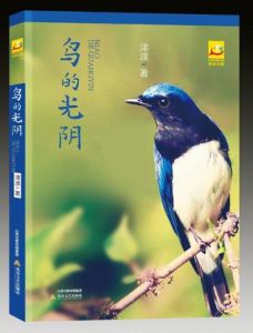 《鳥的光陰》 《鳥的光陰》