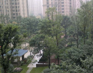 中海城南一號 中海城南一號