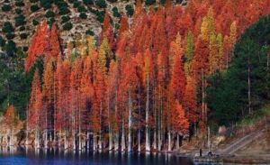 谷坦水庫 谷坦水庫