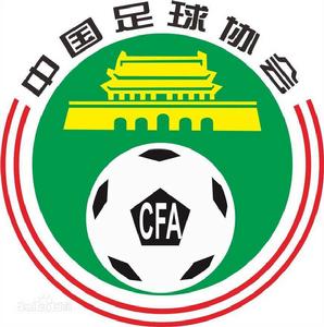 中國女子足球國內賽事冠軍榜 中國女子足球國內賽事冠軍榜