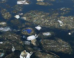 有機物水污染 有機物水污染