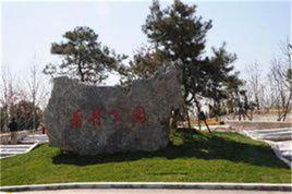 看丹郊野公園 看丹郊野公園