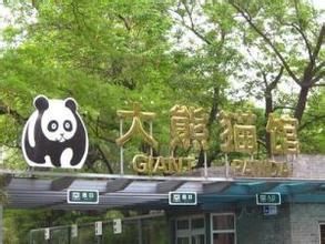 北京動物園大熊貓館