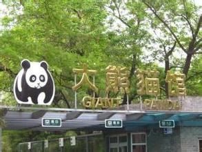 北京動物園大熊貓館 北京動物園大熊貓館