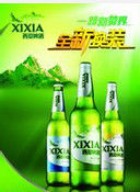 西夏啤酒 西夏啤酒