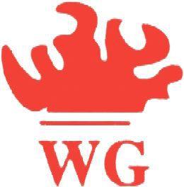 東莞市偉光照明電器工程有限公司 東莞市偉光照明電器工程有限公司