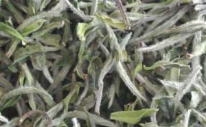 合水白茶 合水白茶