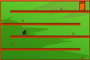 猩猩逃出房間 猩猩逃出房間