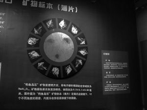 “釣魚島石”標本（薄片）在偏光顯微鏡下的圖像