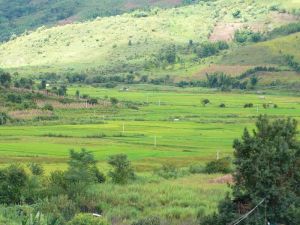曼加坡坎村 曼加坡坎村