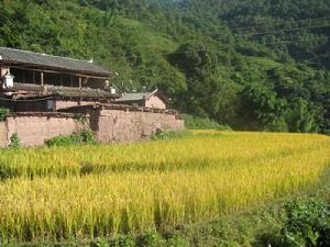 【獨田村委會】村情概況