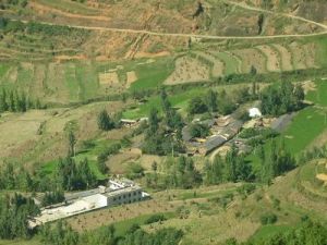 上馬路自然村 上馬路自然村