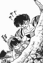 來睦(上)、敏杜(下)