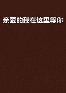 親愛的我在這裡等你 親愛的我在這裡等你