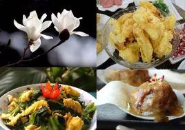 玉蘭花熘肉片 玉蘭花熘肉片