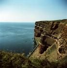 霍爾斯坦海 霍爾斯坦海