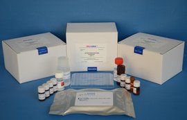 細胞色素C 細胞色素C