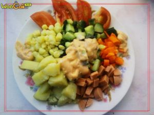 什錦沙拉 什錦沙拉