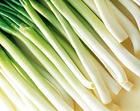蔥汁 蔥汁