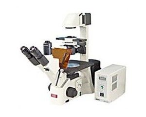 麥克奧迪 AE31 麥克奧迪 AE31