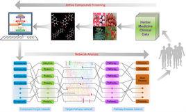 系統藥理學 系統藥理學