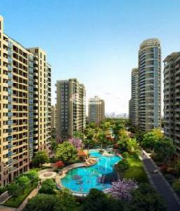 浙江義橋鎮 浙江義橋鎮