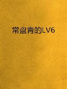 常盤青的LV6