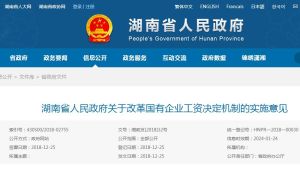 湖南省人民政府關於改革國有企業工資決定機制的實施意見 湖南省人民政府關於改革國有企業工資決定機制的實施意見