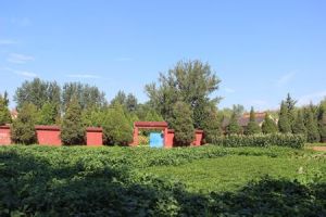 棗溝頭鎮 棗溝頭鎮