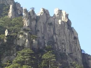 白石嶺自然保護區 白石嶺自然保護區