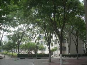 登月新村 登月新村