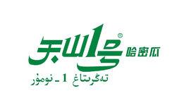 天山1號哈密瓜 天山1號哈密瓜