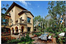 龍湖·花盛香醍 龍湖·花盛香醍