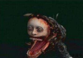 人面魚SEAMAN 人面魚SEAMAN