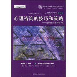 心理諮詢的技巧和策略 心理諮詢的技巧和策略
