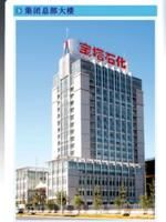 寧夏寶塔石化集團有限公司