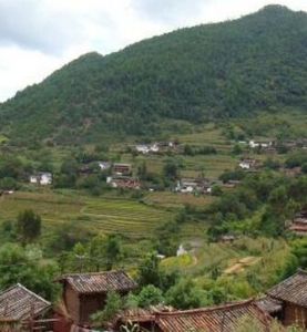 中和自然村 中和自然村