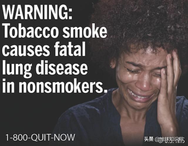 救命啊!國外的煙盒太可怕了,我想戒菸 | 地球知識局