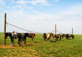 朱日和鎮 朱日和鎮