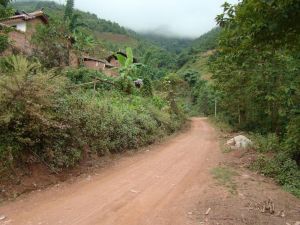 蠻杏自然村 蠻杏自然村