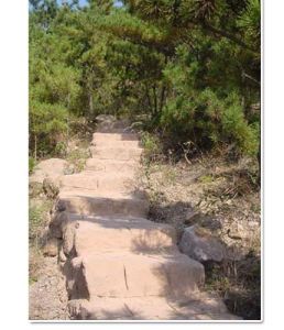 青島雨林谷 青島雨林谷