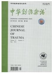 中華創傷雜誌 中華創傷雜誌