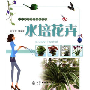 《水培花卉》 《水培花卉》