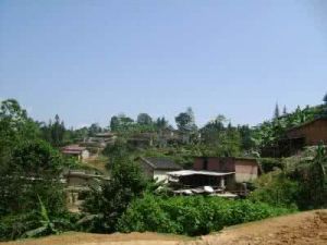 沙依坡村 沙依坡村