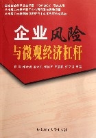 企業風險與微觀經濟槓桿