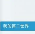 《我的第二世界》 《我的第二世界》