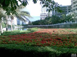 海口美舍河帶狀公園 海口美舍河帶狀公園