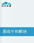 黑暗中的眼睛 黑暗中的眼睛
