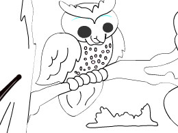 棲息的貓頭鷹 棲息的貓頭鷹