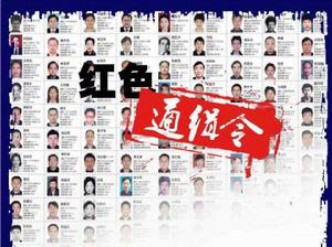 徐偉[“百名紅通人員”第47號]